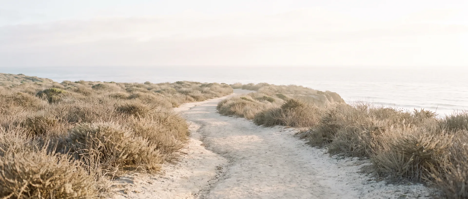 A coastal bluff path at first light