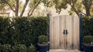 A tall hedge and a closed wooden gate at the entrance to a private residence