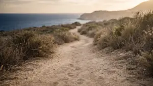 A long coastal path at golden hour stretching into the distance