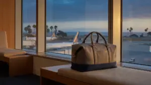 An airport window at dusk with a single carry-on bag