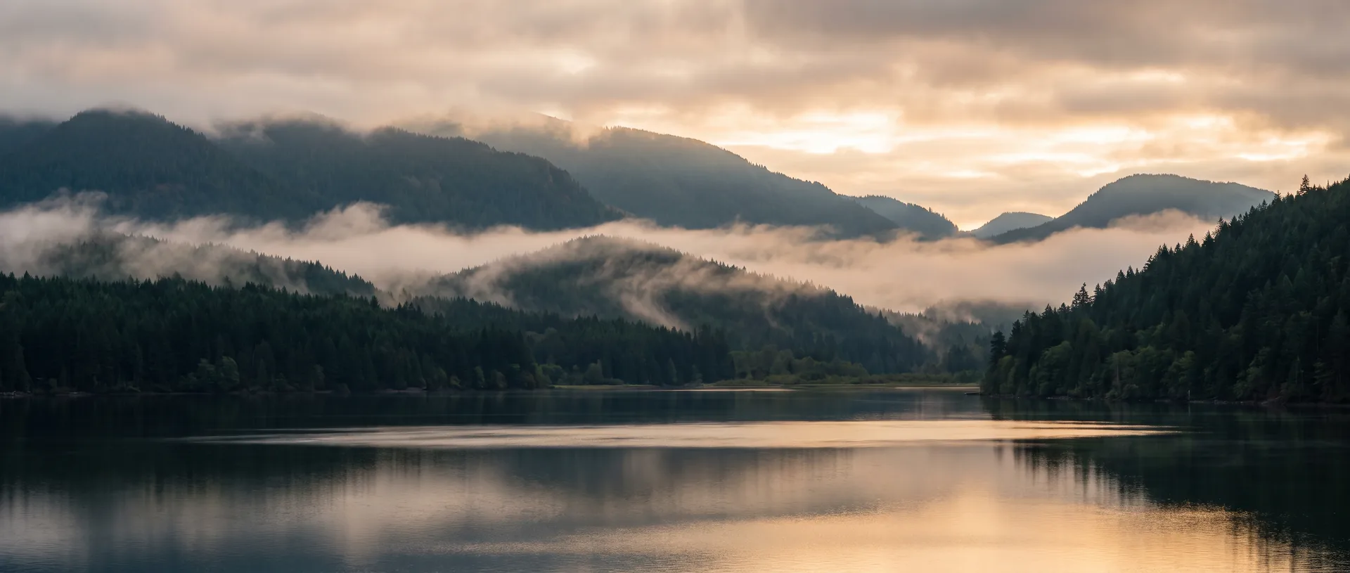 Mist over evergreen hills in the Pacific Northwest