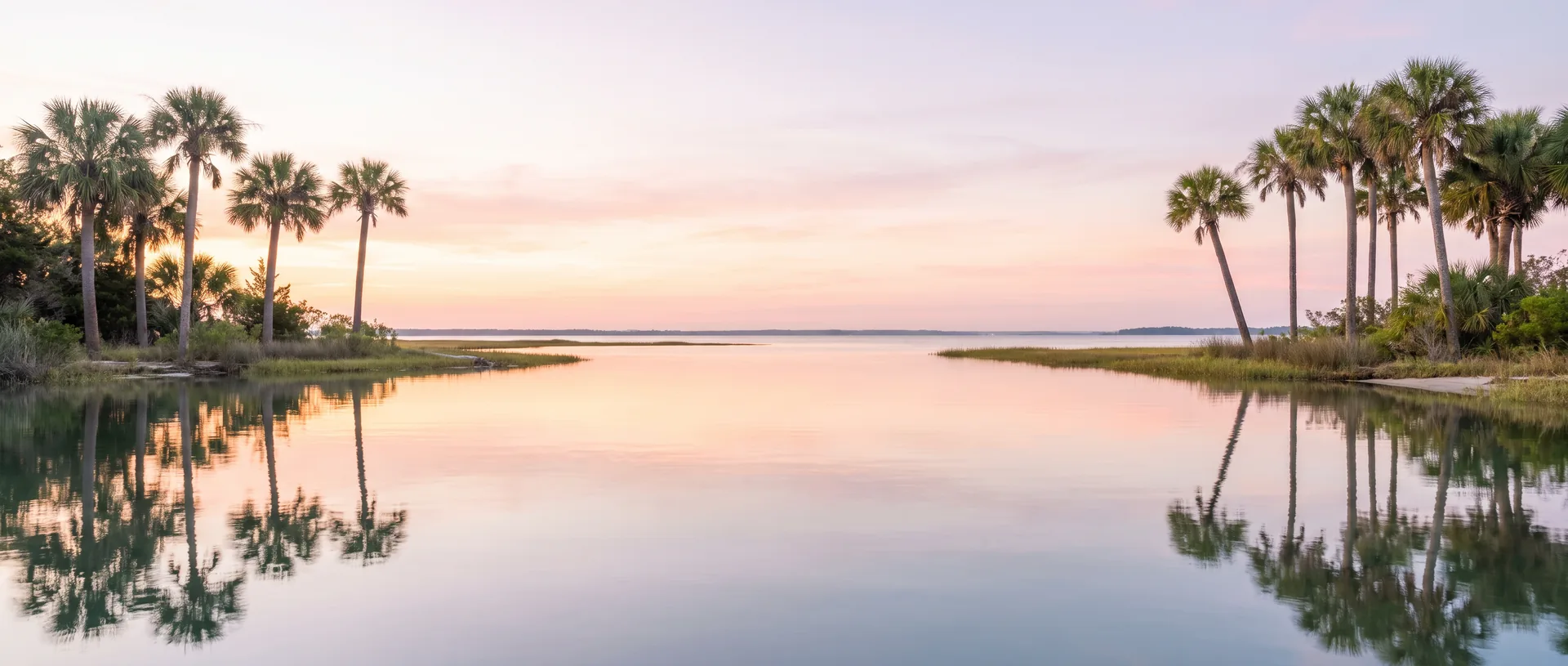 Palms and still water at sunrise on the southeastern coast
