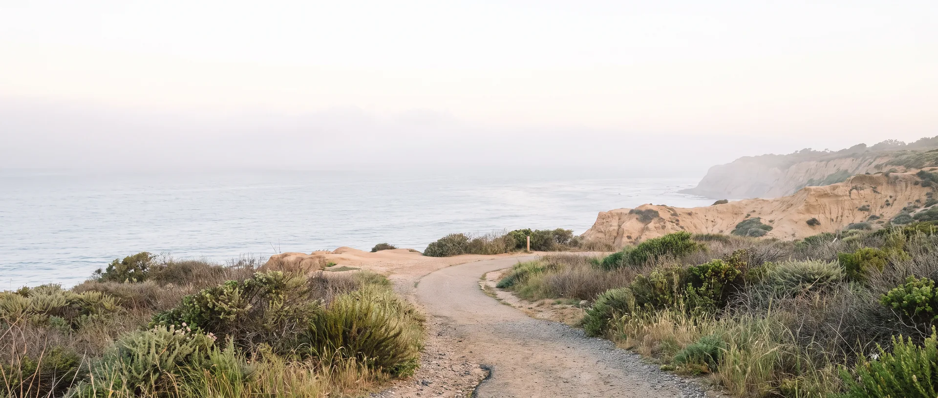 An empty coastal path curving toward the Pacific in soft morning light